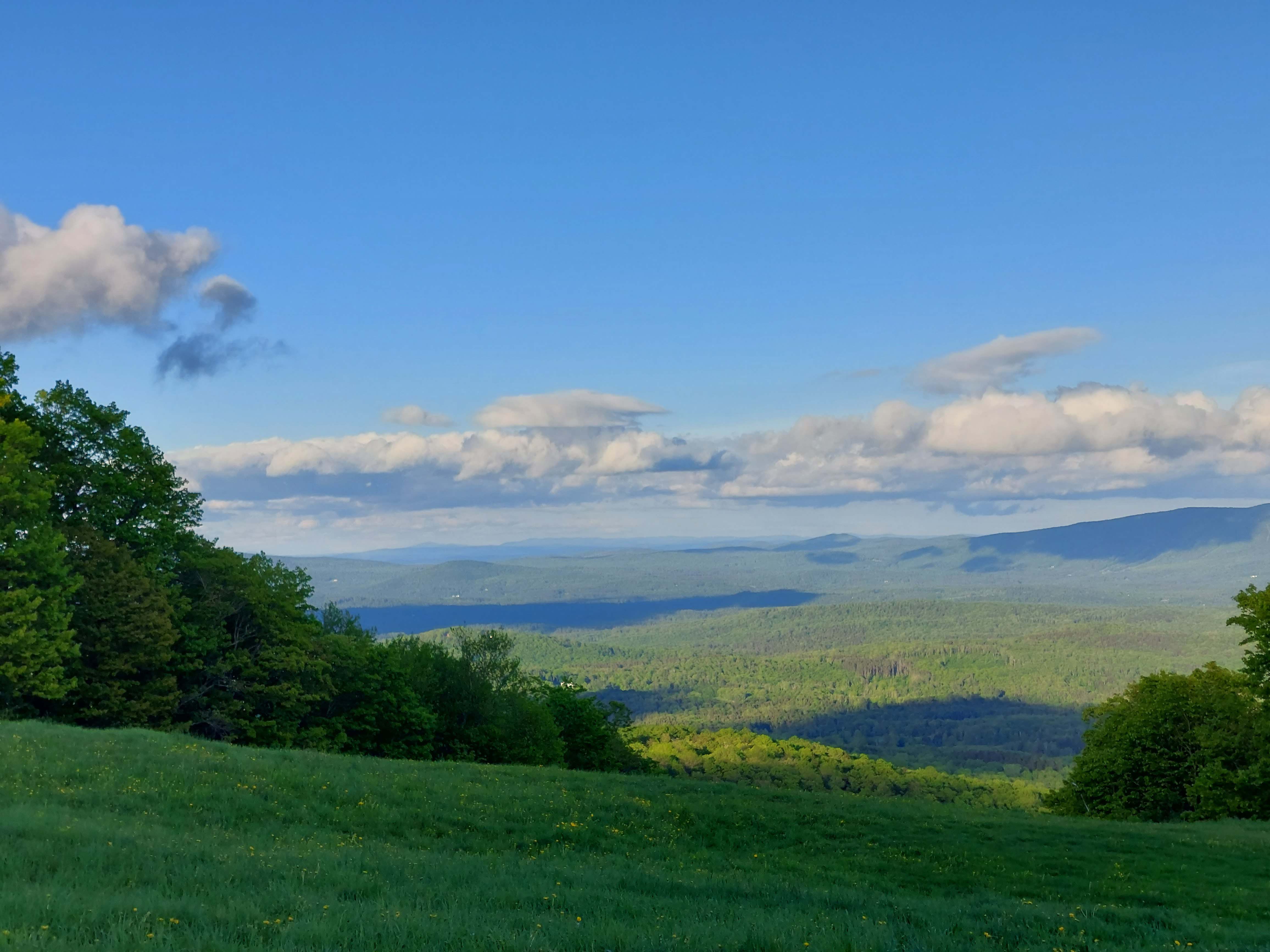 top of bromley mountain in summer